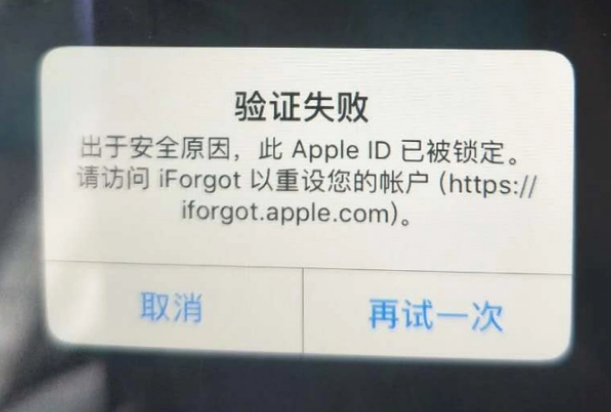 澄城iPhone维修分享iPhone上正常登录或使用AppleID怎么办 