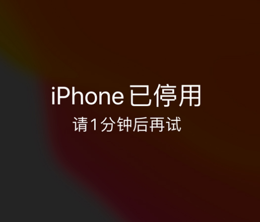 澄城苹果手机维修分享:iPhone 显示“不可用”或“已停用”怎么办？还能保留数据吗？ 