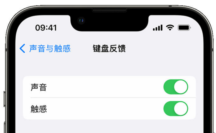 澄城苹果手机维修分享iPhone 14触感键盘使用方法 