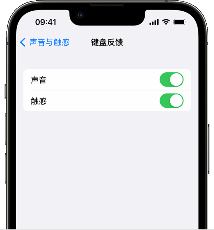 澄城苹果14维修店分享如何在 iPhone 14 机型中使用触感键盘 