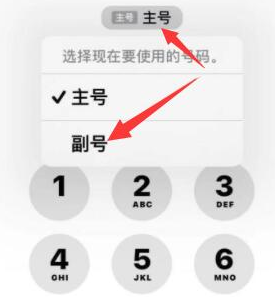 澄城苹果14维修店分享iPhone 14 Pro Max使用副卡打电话的方法 