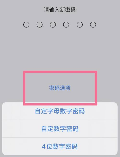 澄城苹果14维修分享iPhone 14plus设置密码的方法 