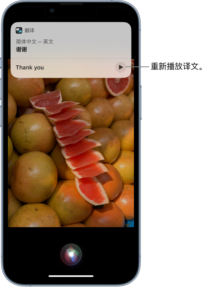 澄城苹果14维修分享 iPhone 14 机型中使用 Siri：了解 Siri 能帮你做什么 