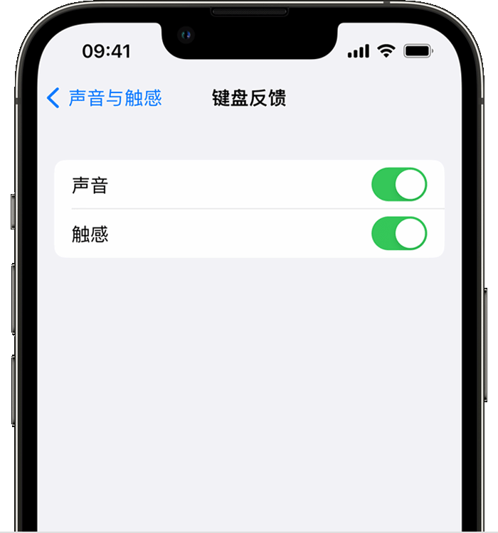 澄城苹果14维修分享iPhone 14 系列机型如何开启键盘声音或触感反馈 