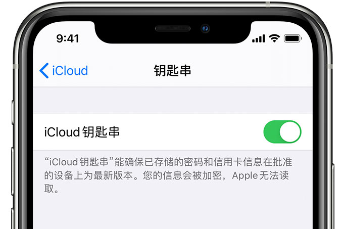 澄城苹果手机维修分享在 iPhone 上开启 iCloud 钥匙串之后会储存哪些信息 