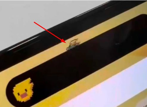 澄城苹果14维修分享iPhone 14 Pro Max灵动岛怎么养宠物 