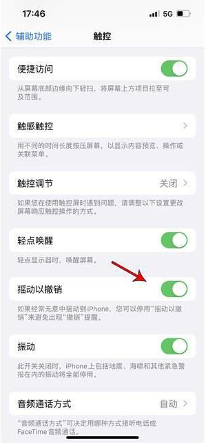 澄城苹果手机维修分享iPhone手机如何设置摇一摇删除文字 