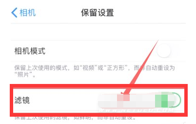 澄城苹果13维修分享iPhone13拍照有绿点是怎么回事 