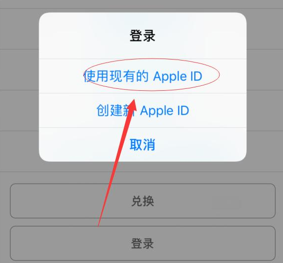澄城苹果手机维修分享两台iPhone设备可以同时登录一个Apple ID吗 