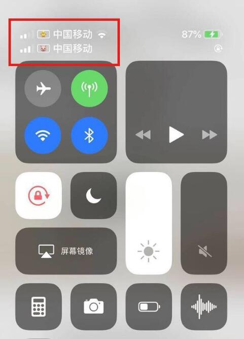 澄城苹果手机维修分享为 iPhone 12 双卡设置标签 