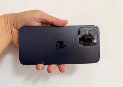 澄城苹果维修点分享iPhone 14 Pro Max黑屏少见故障盘点 